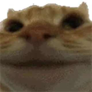 ❌ emoji попа Кирилла сочная как персик Telegram sticker 16 of 23