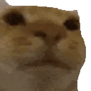 🫥 emoji попа Кирилла сочная как персик Telegram sticker 17 of 23