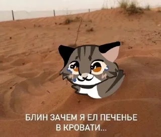 😓 emoji совет от Соника @momoqaymok Telegram sticker 23 of 36