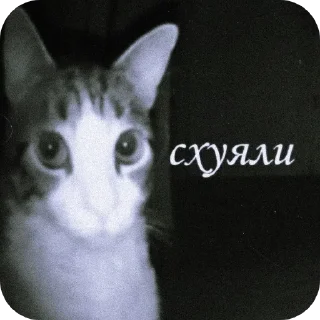 Меми :: @SevenShadows_Delta sticker 1