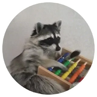 😐 emoji 🦝 Telegram sticker 17 of 51