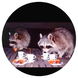 🥓 emoji 🦝 Telegram sticker 9 of 51