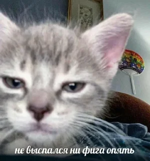 😒 emoji кскскс Telegram sticker 15 of 109