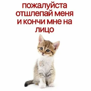🙏 emoji кскскс Telegram sticker 11 of 109