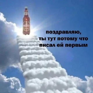 Sticker from Lissamemes