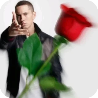 🌹 emoji Картинки тик ток Telegram sticker 15 of 89
