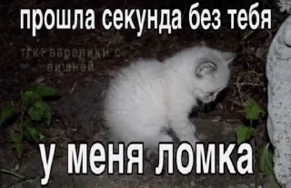 😔 emoji Муся это ты? Telegram sticker 23 of 72