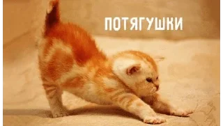 🌟 emoji Муся это ты? Telegram sticker 24 of 72