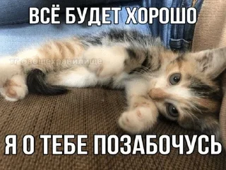 ❤️ emoji Муся это ты? Telegram sticker 6 of 72
