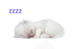 Муся это ты? sticker 2