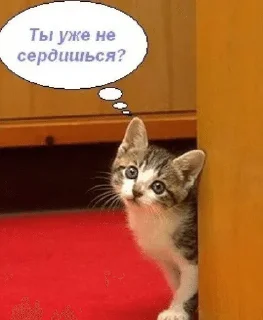 🙁 emoji Муся это ты? Telegram sticker 7 of 72