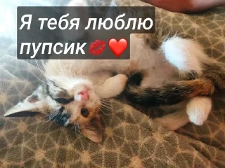 Sticker from Муся