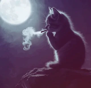 🚬 emoji Муся это ты? Telegram sticker 11 of 72