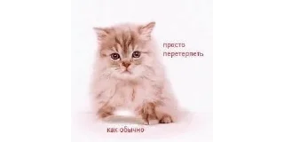 🙁 emoji Муся это ты? Telegram sticker 5 of 72