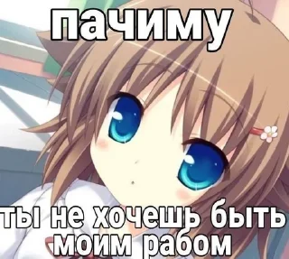 Sticker from стики для настоящих няшк♡