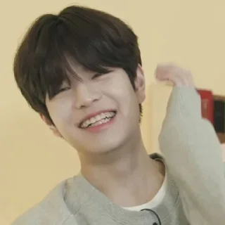 🥰 emoji Сынмин солнышко Telegram sticker 15 of 15