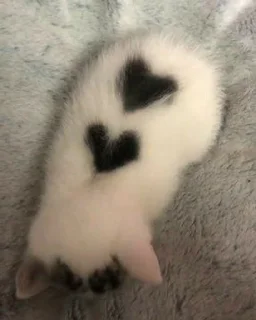 ❤️ emoji пикчи для тебя и для твоей заи💗 Telegram sticker 17 of 71