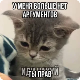 🖕 emoji доброкотики :: @ljmhfzleif Telegram sticker 15 of 120