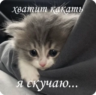 💩 emoji доброкотики :: @ljmhfzleif Telegram sticker 14 of 120