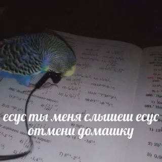 Sticker from Хехе(7-В)
