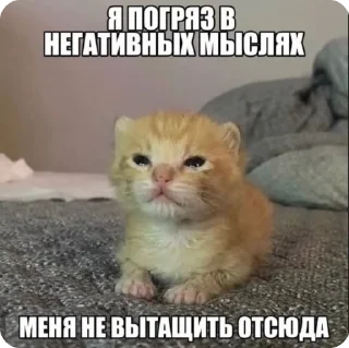 🌟 emoji доброкотики :: @ljmhfzleif Telegram sticker 12 of 120