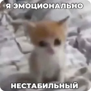 😶 emoji доброкотики :: @ljmhfzleif Telegram sticker 4 of 120