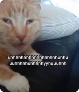😩 emoji доброкотики :: @ljmhfzleif Telegram sticker 3 of 120