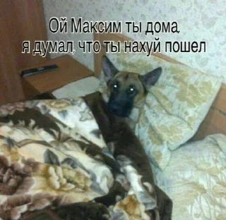 Sticker from Токсично
