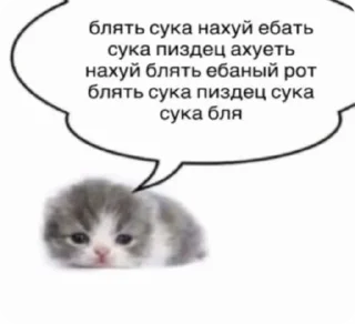 🤬 emoji доброкотики :: @ljmhfzleif Telegram sticker 17 of 120