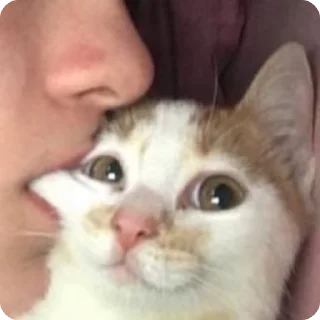 😙 emoji доброкотики :: @ljmhfzleif Telegram sticker 1 of 120