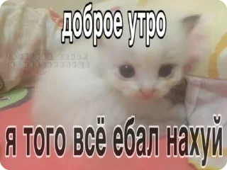 🌟 emoji доброкотики :: @ljmhfzleif Telegram sticker 6 of 120