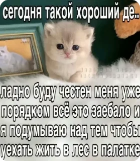 😭 emoji доброкотики :: @ljmhfzleif Telegram sticker 16 of 120