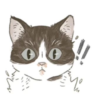 🐈 emoji для @wmnapl от @nyakwii Telegram sticker 12 of 14