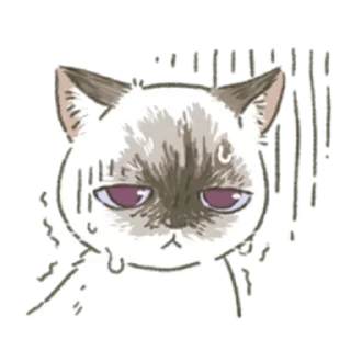 🐈 emoji для @wmnapl от @nyakwii Telegram sticker 14 of 14