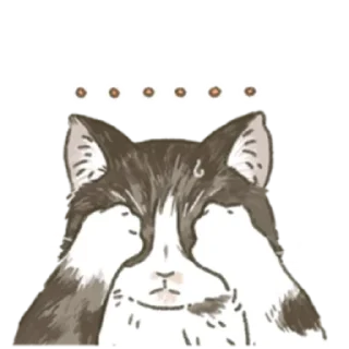 🐈 emoji для @wmnapl от @nyakwii Telegram sticker 11 of 14