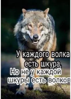 Sticker from играй, серега!