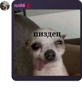 👨‍🚀 emoji чат для общения🌹🌹 pack by @QuotLyBot Telegram sticker 8 of 120