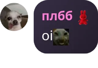 😂 emoji чат для общения🌹🌹 pack by @QuotLyBot Telegram sticker 12 of 120