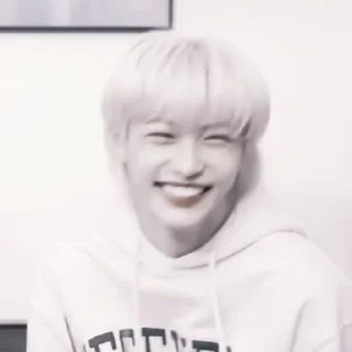 Sticker from ❀ felix ❀ [@helpik_lisonki]
