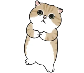 Sticker from котик ୨୧ @softsticks
