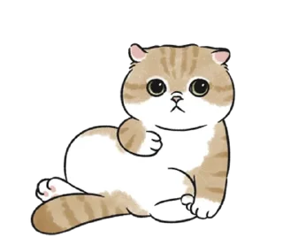 Sticker from котик ୨୧ @softsticks