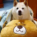 🐶 emoji Friends @TVstickers Telegram sticker 3 of 73