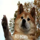 🐶 emoji Friends @TVstickers Telegram sticker 11 of 73