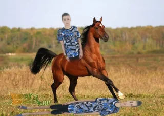 🤩 emoji @MoiStikiBot Арам сам сам Арам сам сам гули гули гули Арам сам с Telegram sticker 15 of 60