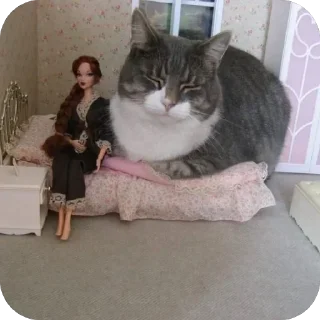 🐱 emoji Больше стиков тут: @stikery4 Telegram sticker 7 of 101