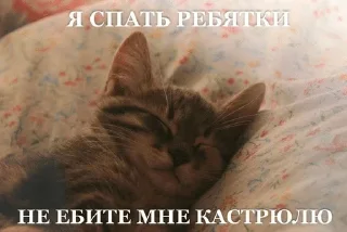 Sticker from Meme