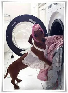 Sticker from сосиски