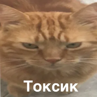 Sticker from сАбаки