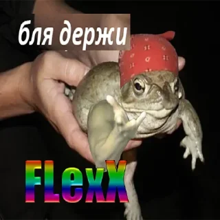 Sticker from Держи жабу