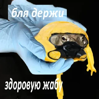 Sticker from Держи жабу
